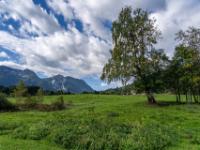 Am westlichen Wegabschnitt mit Weidefläche bei Bauernhaus
